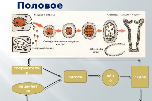 Ссылка вход в кракен