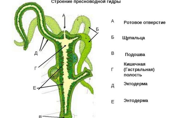 Зеркало омг без тор